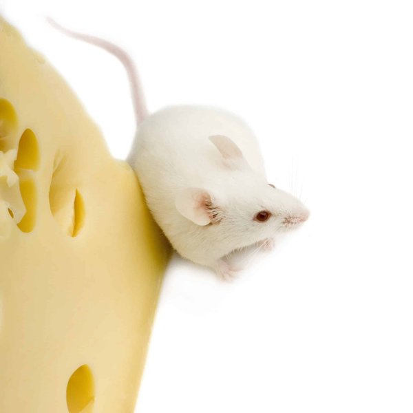 La recherche d'un grossiste pour friperie : comment s'y prendre ?